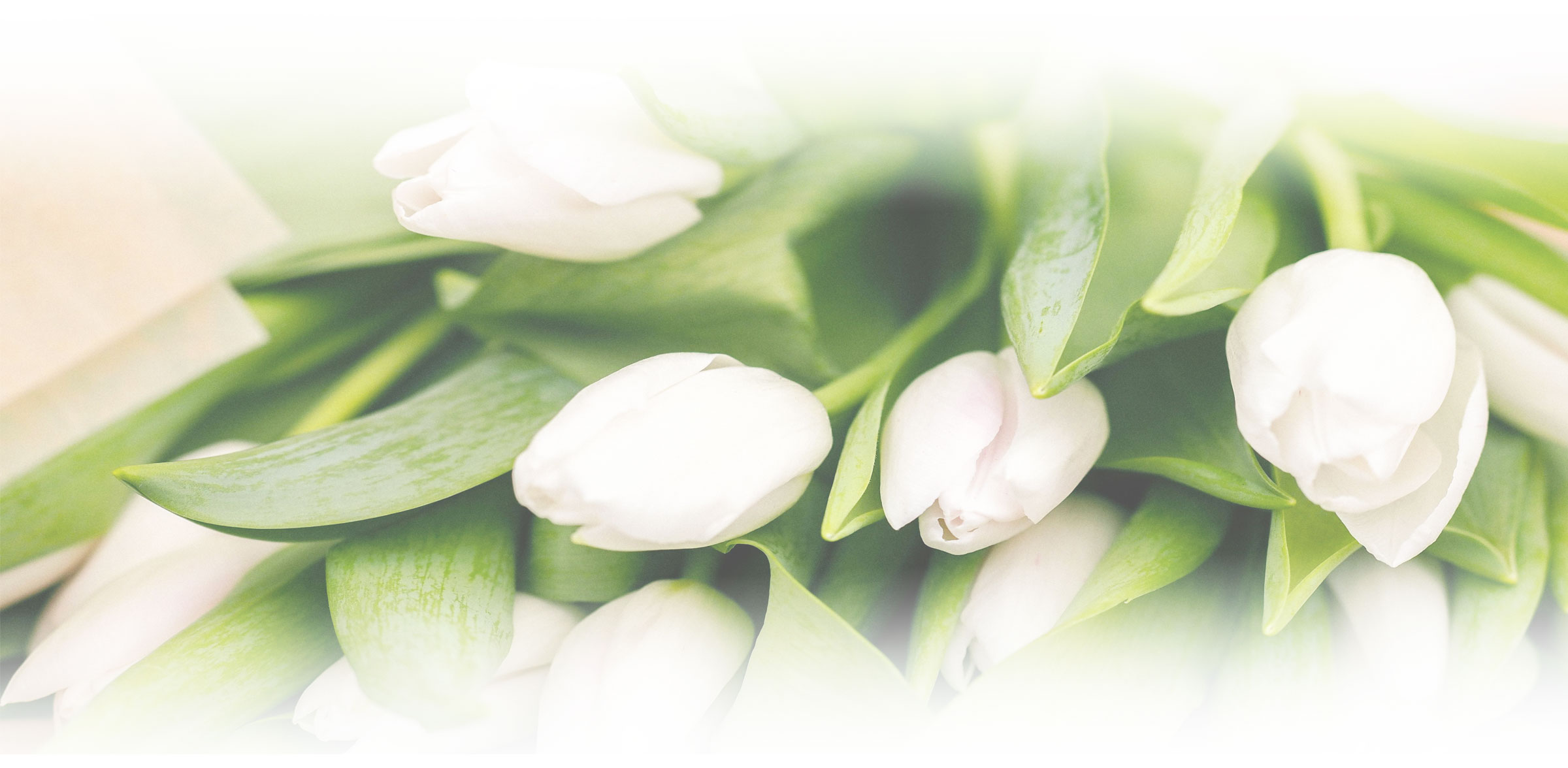 Tanatorio Navas en Sabiñánigo · Cercanía e innovación para las familias del Alto Gállego