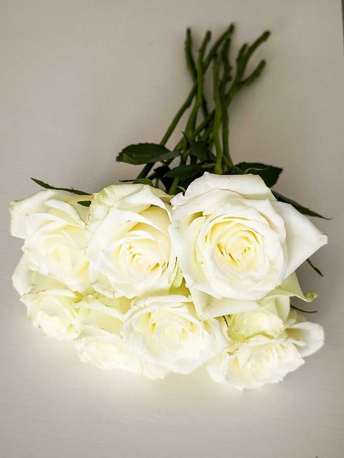 <br />
En Navas Funeraria ponemos a disposición de las familias un servicio de floristería los 365 días del año, 